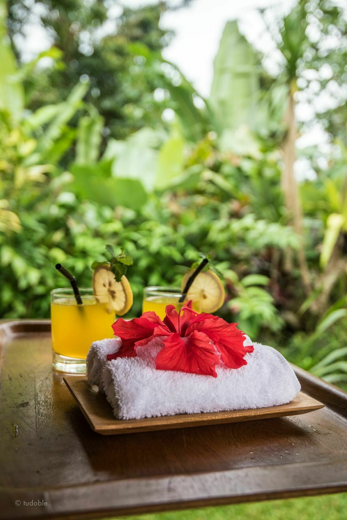 Bunut Garden Luxury Private Villa อูบุด ภายนอก รูปภาพ